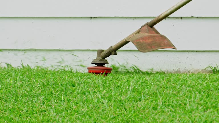 Lawn Drainage Solutions in Wintersville, OH